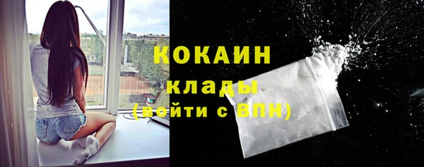 шишки Баксан