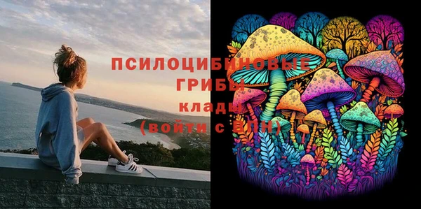 соль ск Аркадак