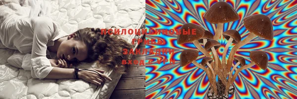 шишки Баксан