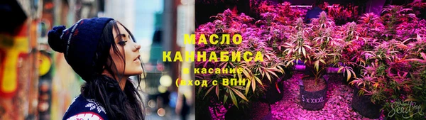 гашик Арсеньев